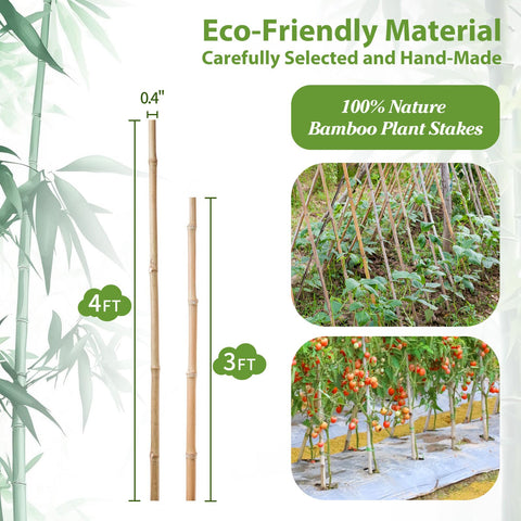 Close-up of natural bamboo texture highlighting durable plant supports