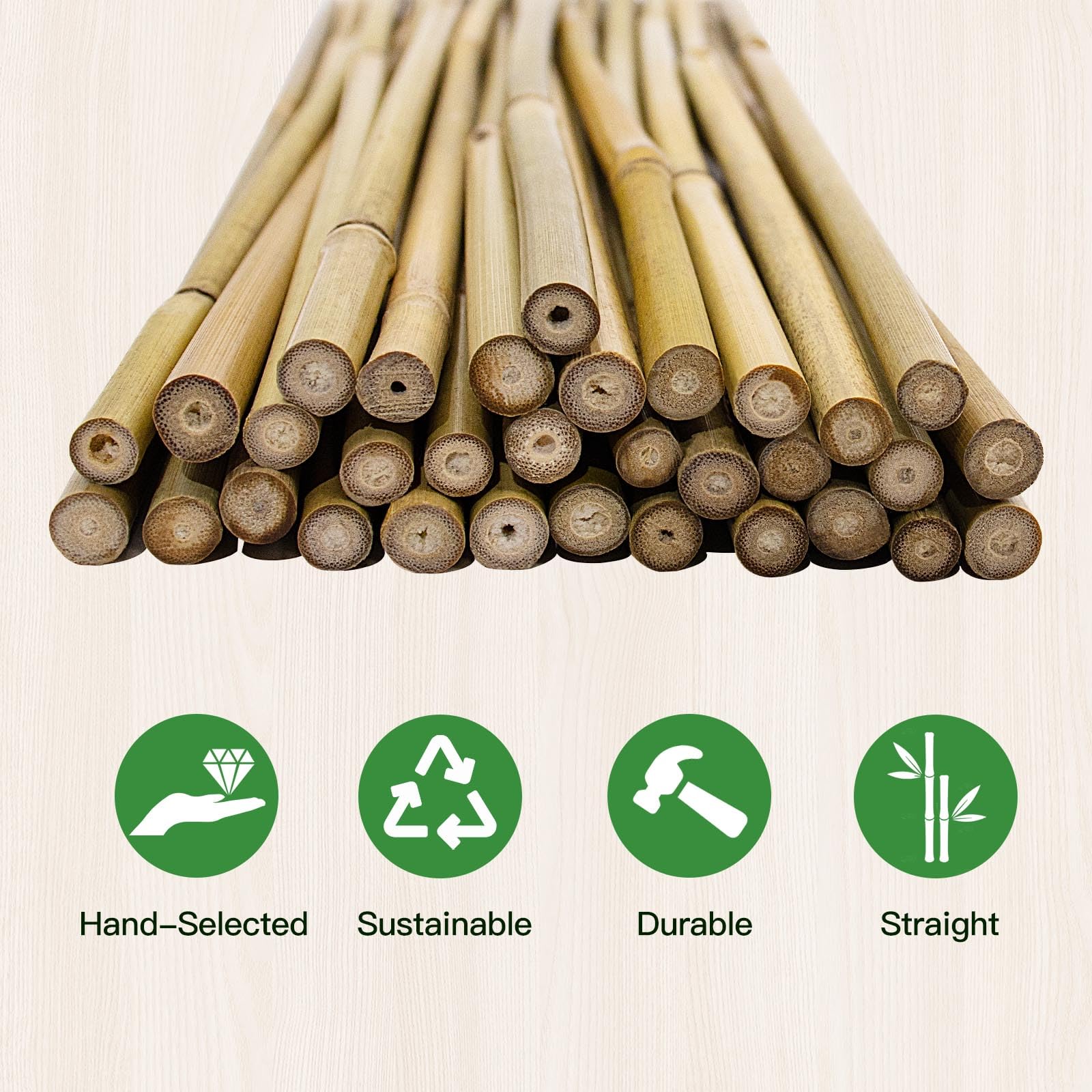 WDZZHOT bean-support stake in bamboo for neat growth