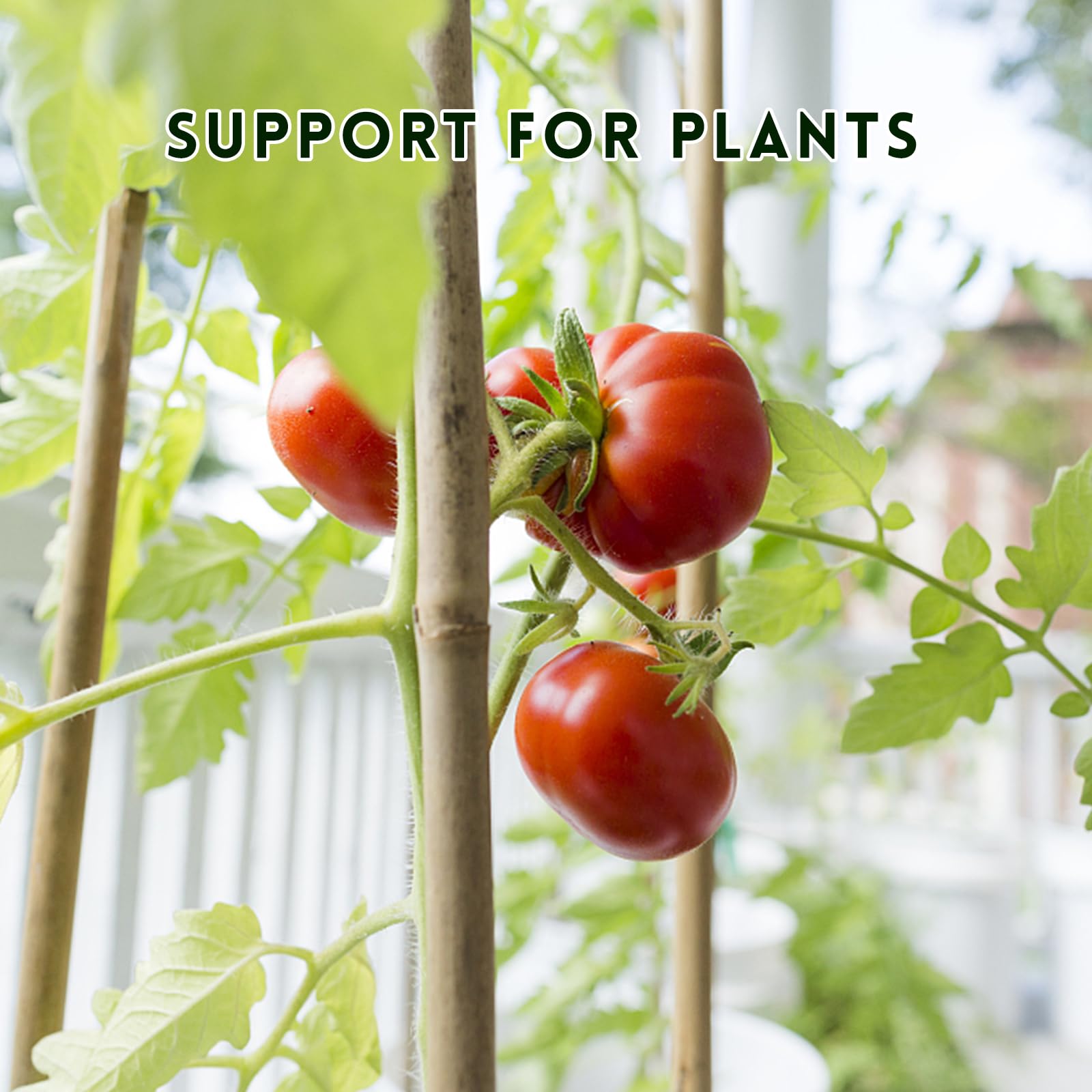 WDZZHOT indoor outdoor bamboo stakes for versatile plant support