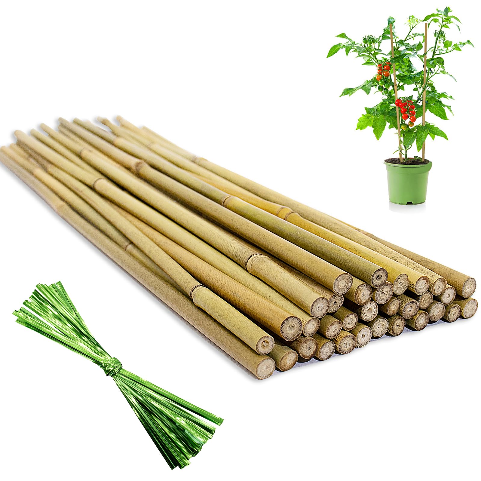 WDZZHOT garden stakes in natural bamboo for sturdy tomato support