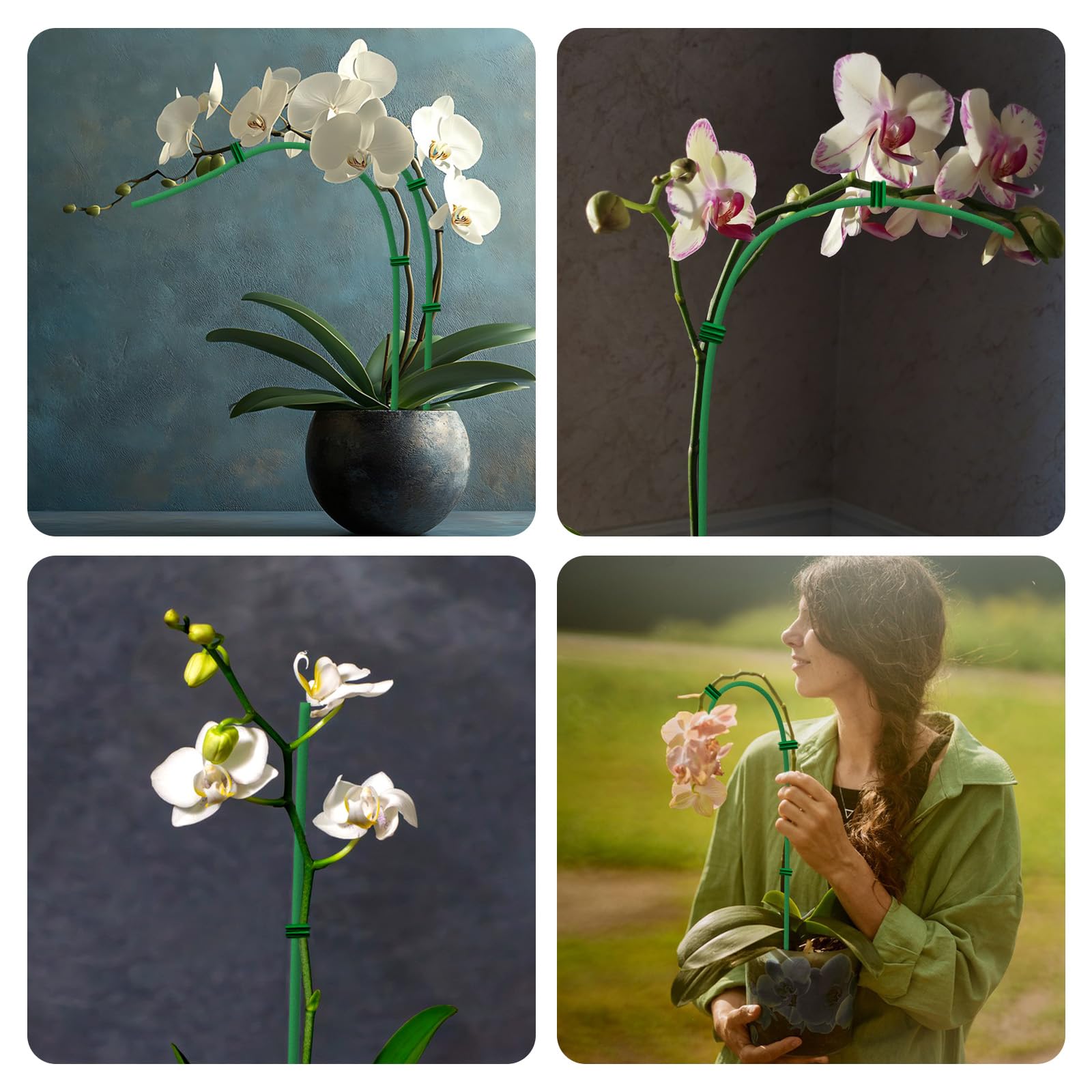 WDZZHOT indoor-outdoor stake setup suits varied garden needs.