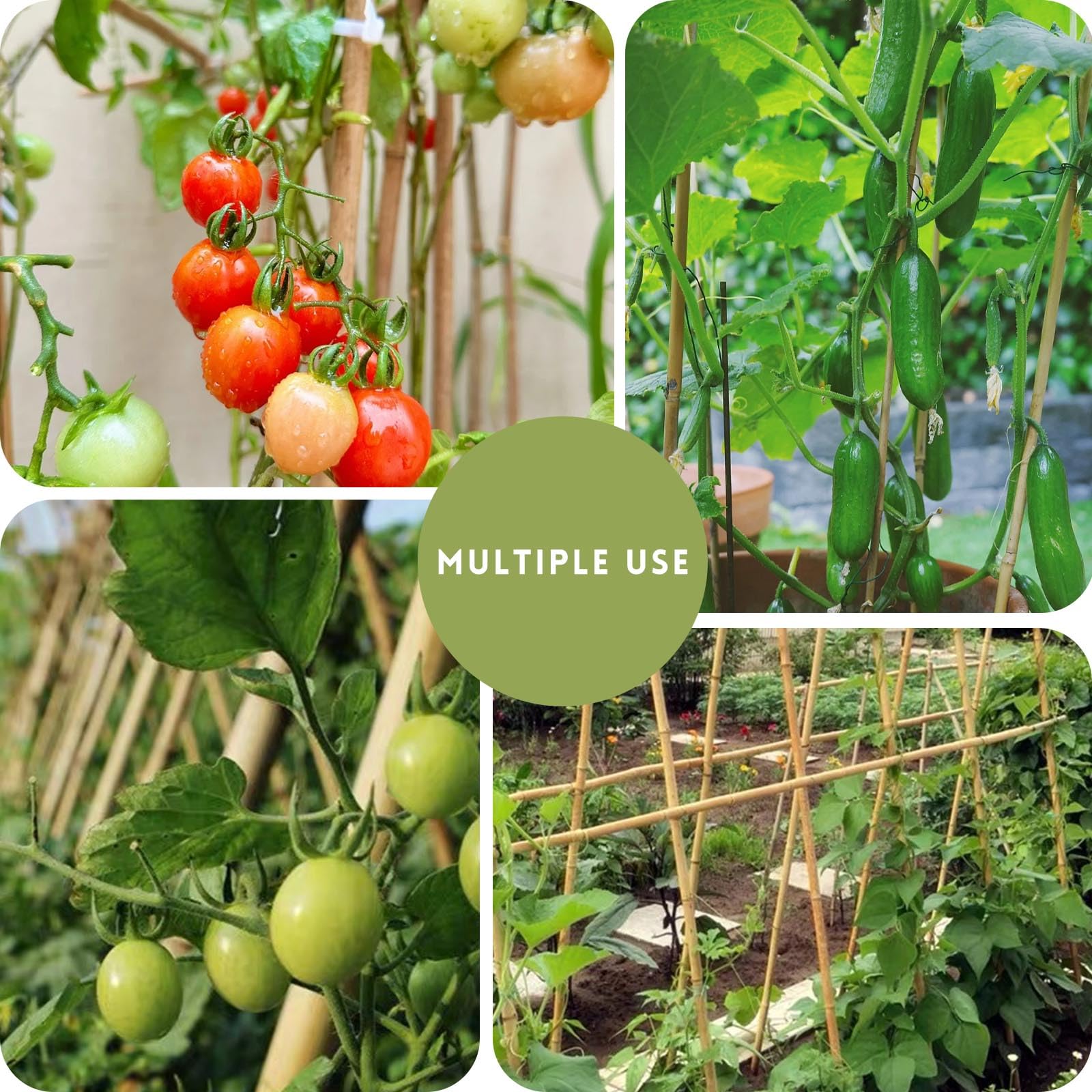 WDZZHOT reusable bamboo stakes designed for flowers and vines