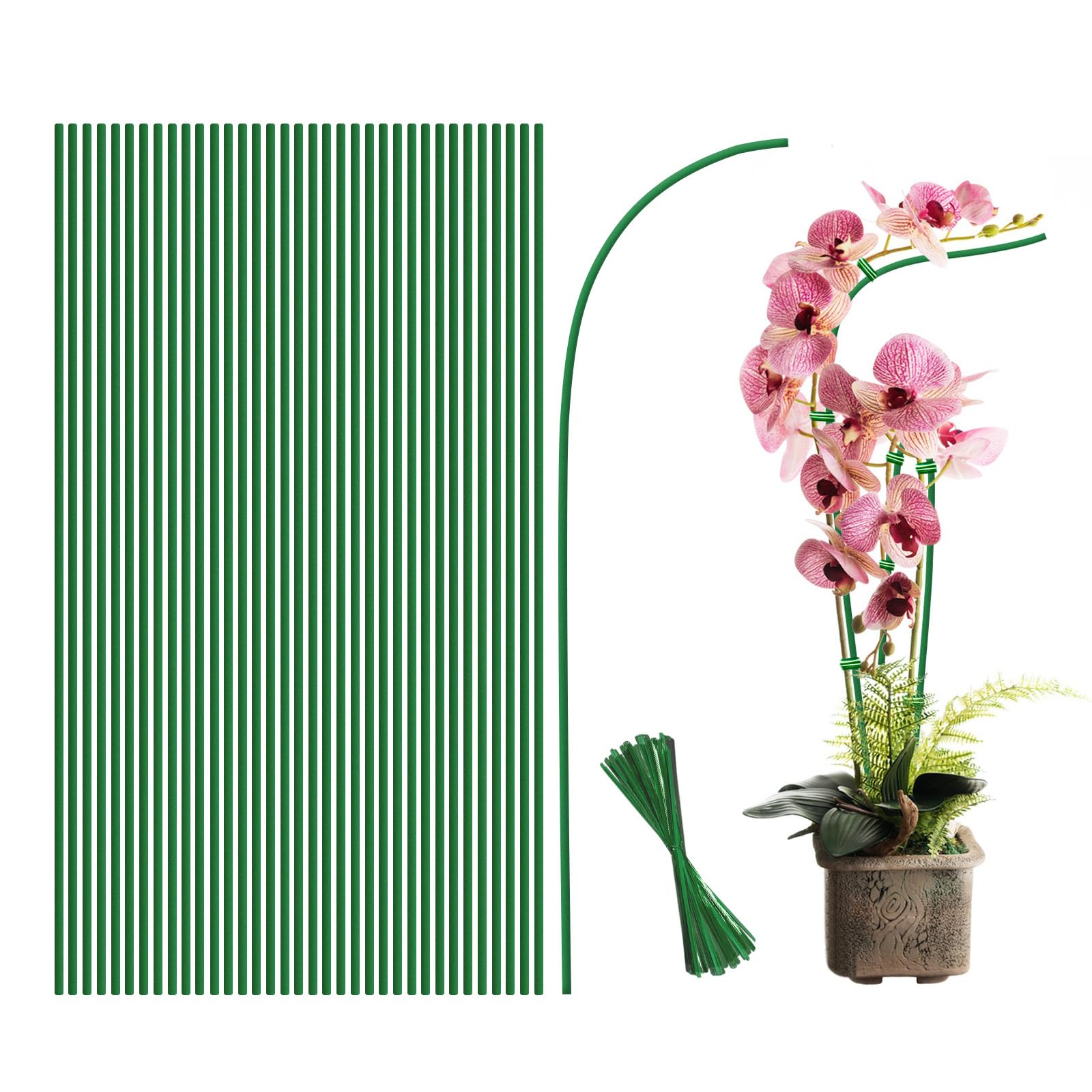 WDZZHOT 18-inch bendable plant stakes provide flexible support for upright growth.