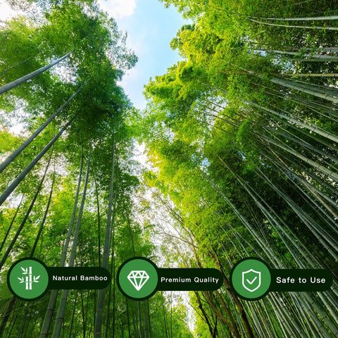 WDZZHOT tomato-support stake in natural bamboo keeps plants upright