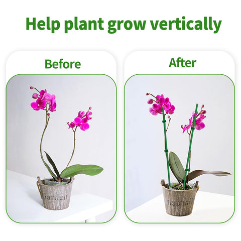 WDZZHOT vegetable plants gain sturdy support for tomatoes, cucumbers, peppers.