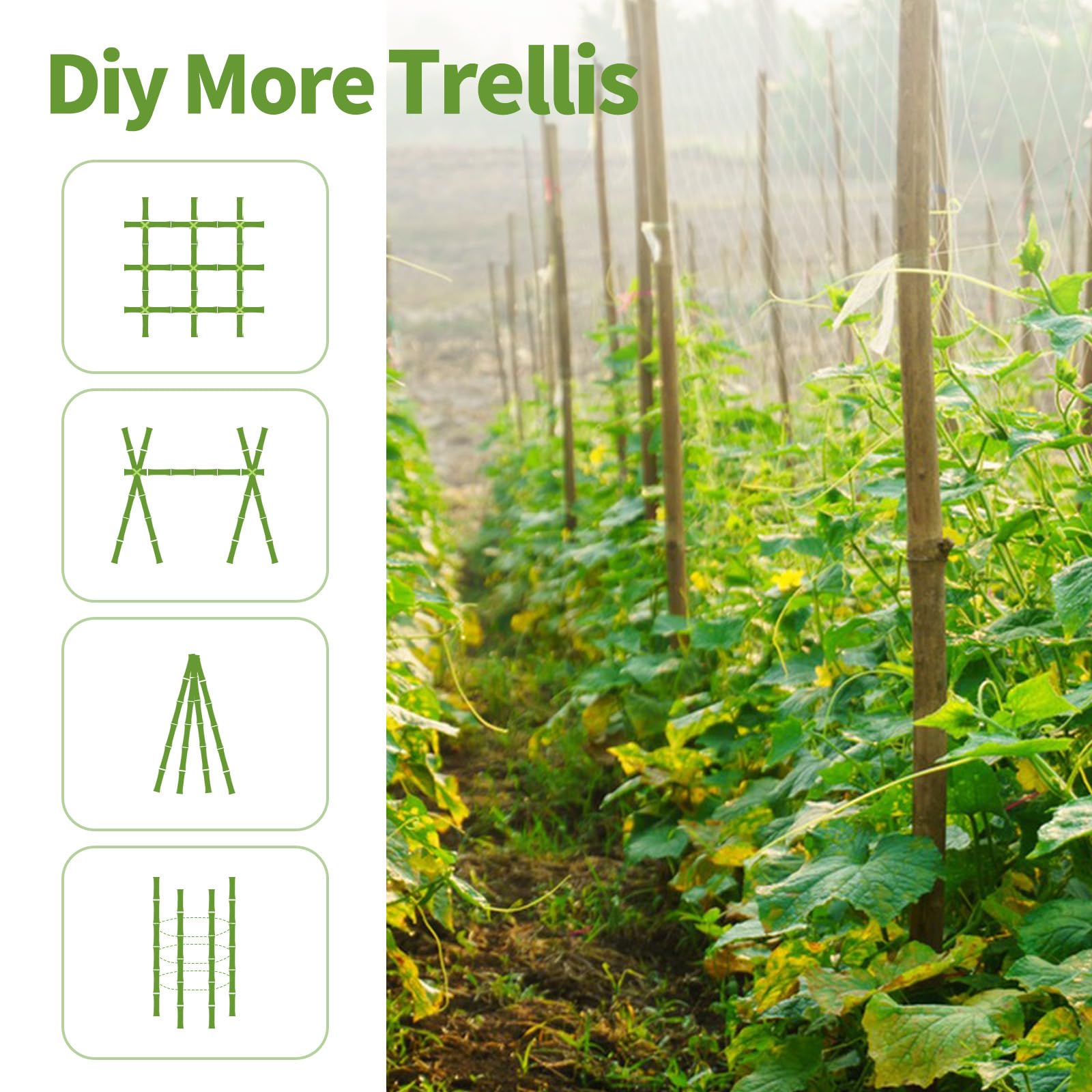WDZZHOT vine-support stakes promote even sun exposure for climbing plants.