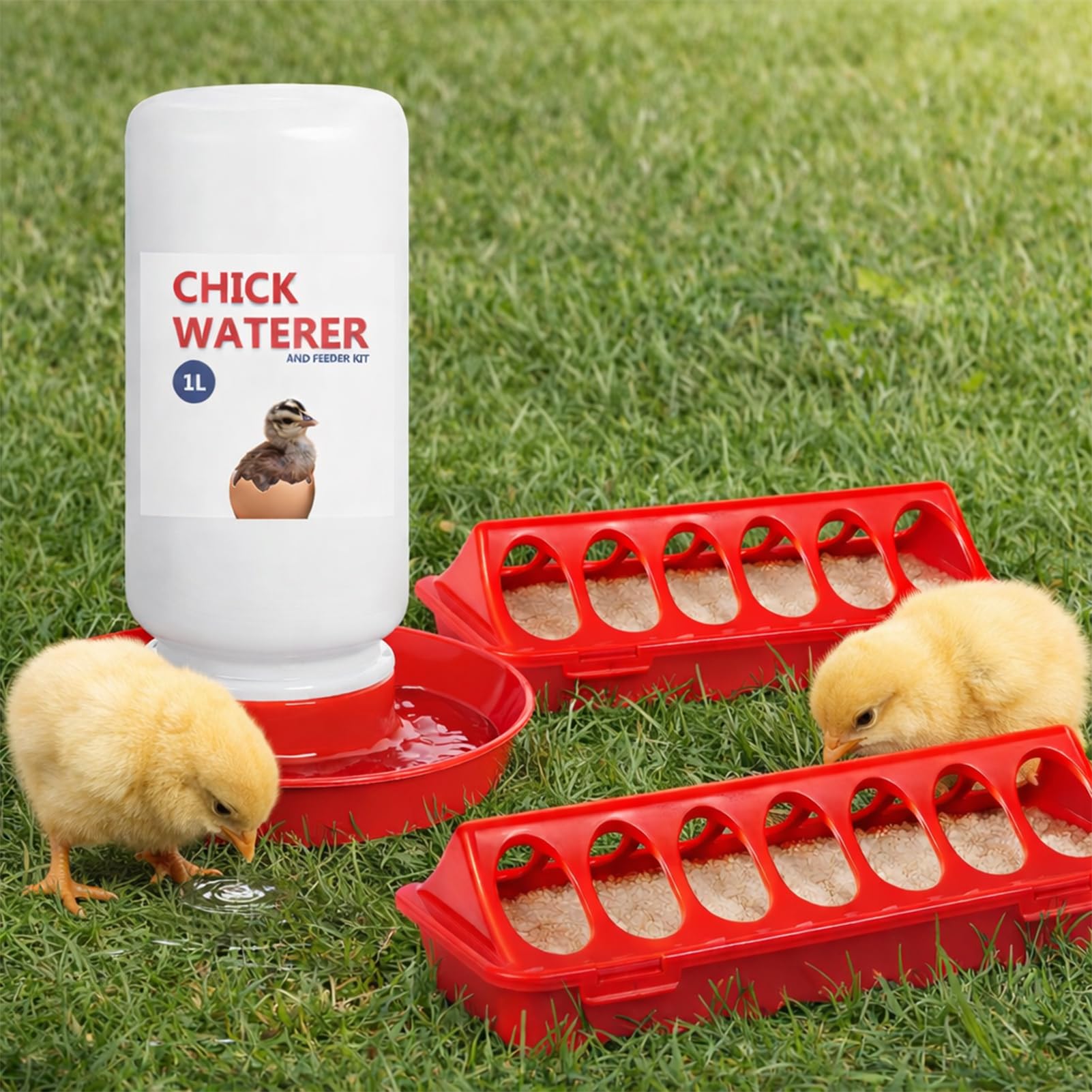 Weartfun baby poultry starter kit supports easy brooder setup.