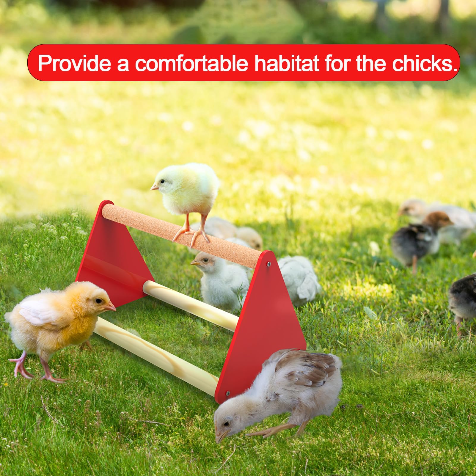 Weartfun kit suits chicks, ducks, quails, and small birds