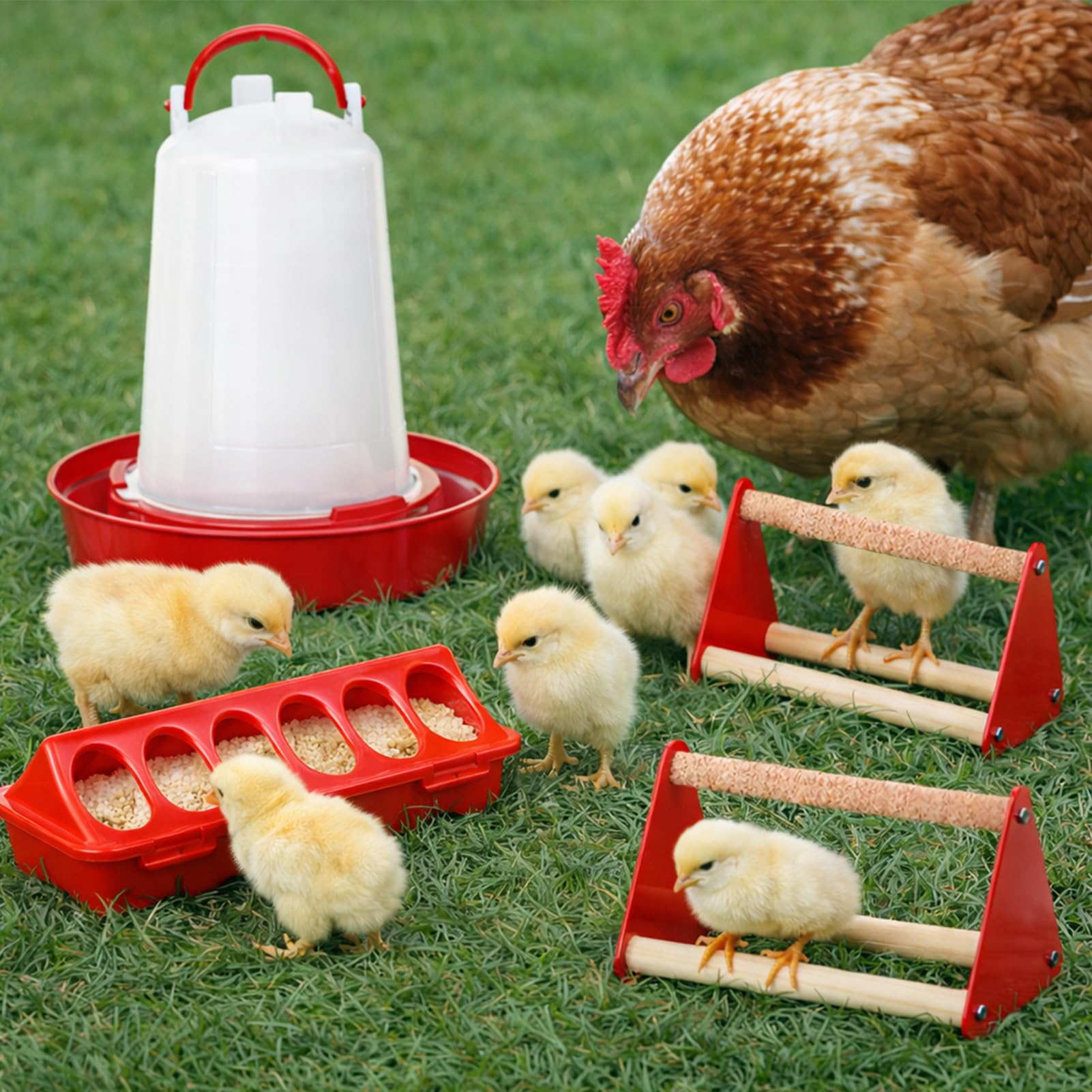 Weartfun coop setup shows compact all-in-one poultry solution