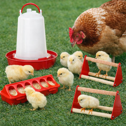 Weartfun coop setup shows compact all-in-one poultry solution