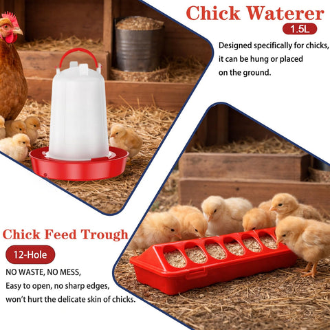 Weartfun feeding troughs with 12 holes support multiple chicks