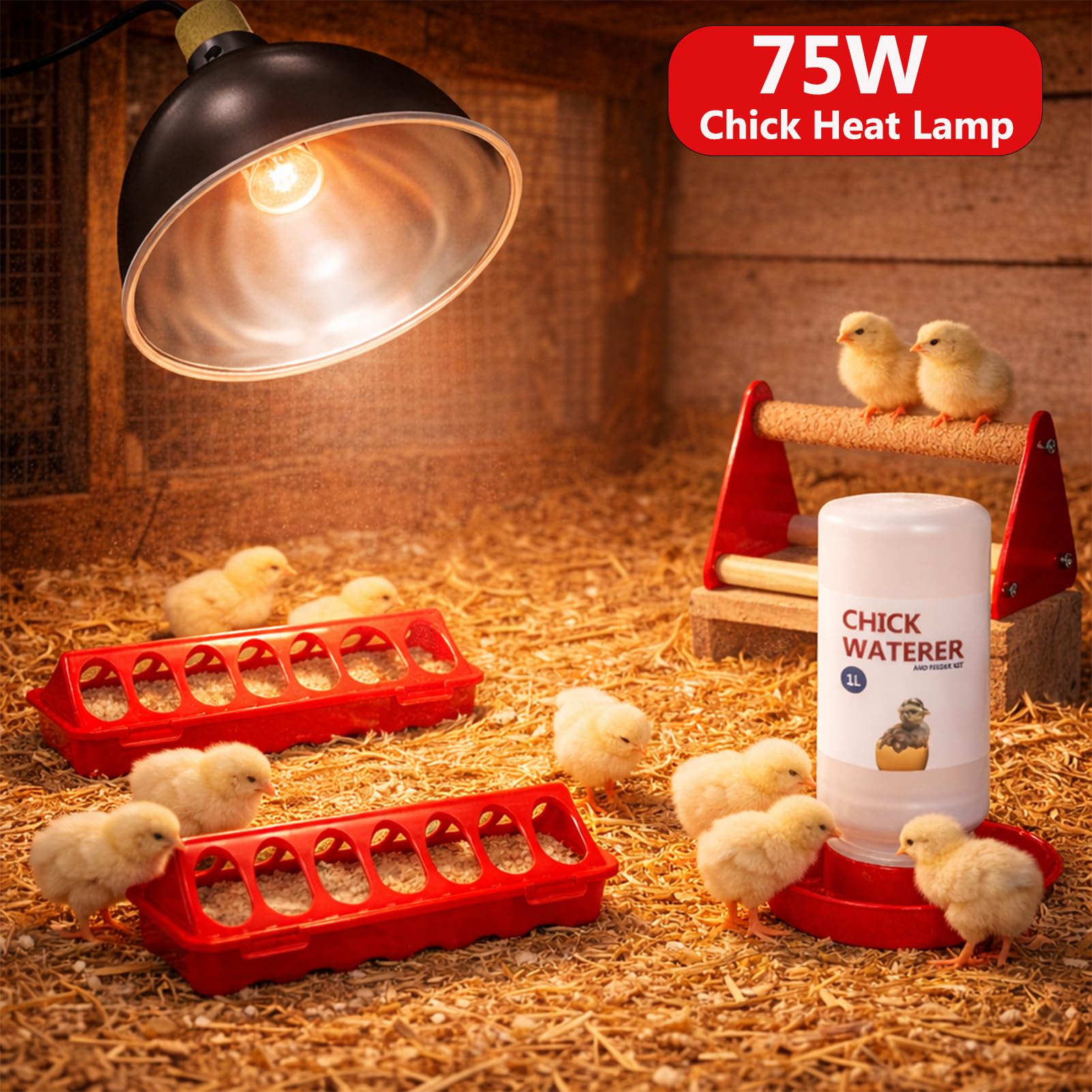 Weartfun chick waterer 1L keeps water fresh and accessible for growing chicks.
