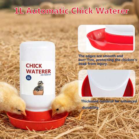 Weartfun chick-duckling-quail starter kit for small poultry setups.