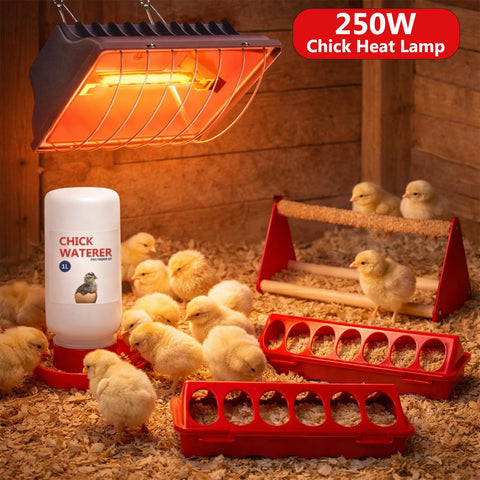 Weartfun plastic feeder trough for easy, clean feeding and reduced waste.