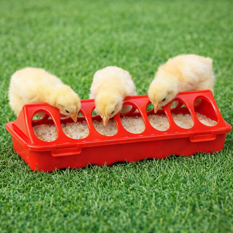 Durable plastic construction stands up to outdoor brooder conditions.