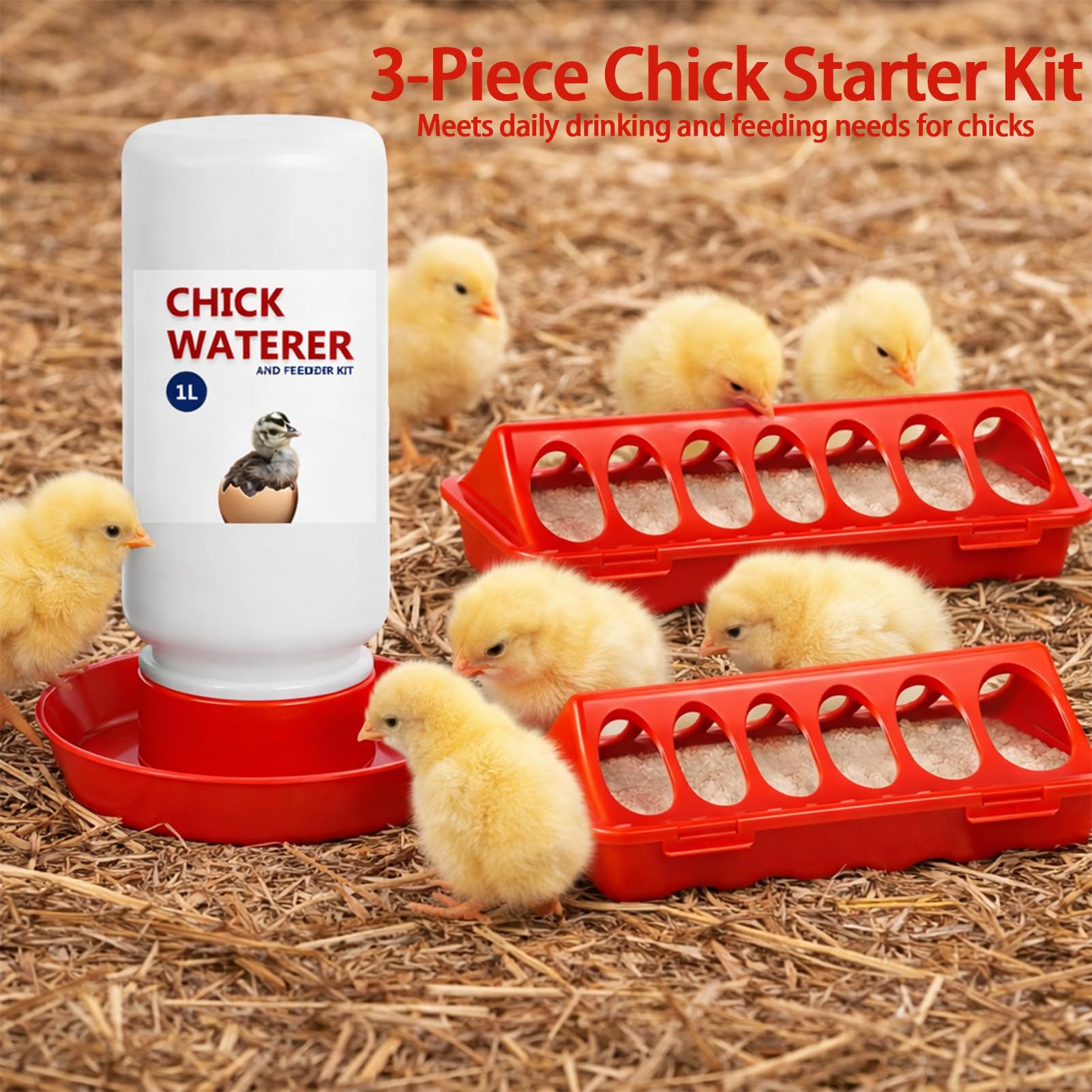 Weartfun 1L waterer providing steady hydration for growing chicks.