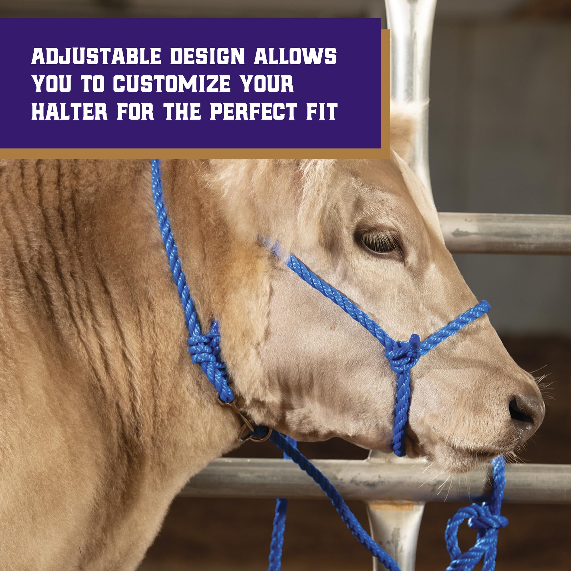 Weaver Leather 7-foot lead included for versatile guiding across tasks.