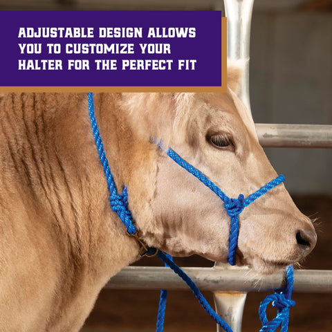 Weaver Leather 7-foot lead included for versatile guiding across tasks.