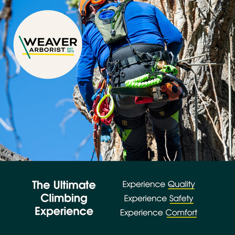 Weaver Leather Arborist Axe Guard tan nickel hardware detail resists wear.