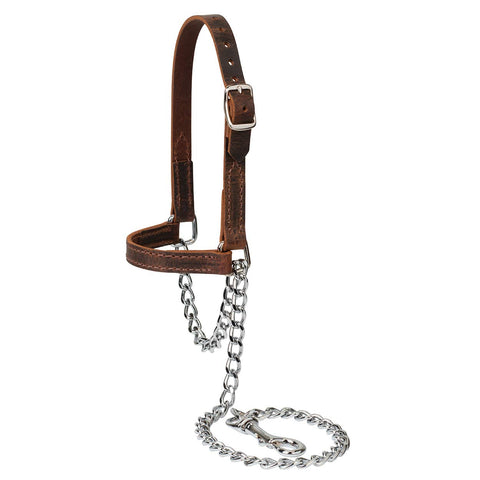 Weaver Leather Goat Halter with water buffalo crown for safe, adjustable handling.