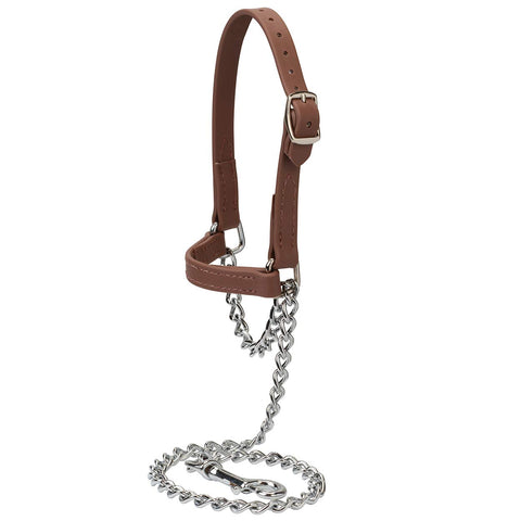Wea ver Leather Livestock Brahma Webb Goat Halter front view for secure control