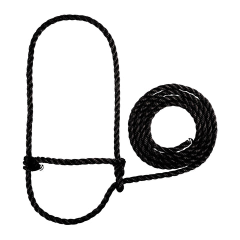 Weaver Leather braided rope cattle halter for durable daily handling.