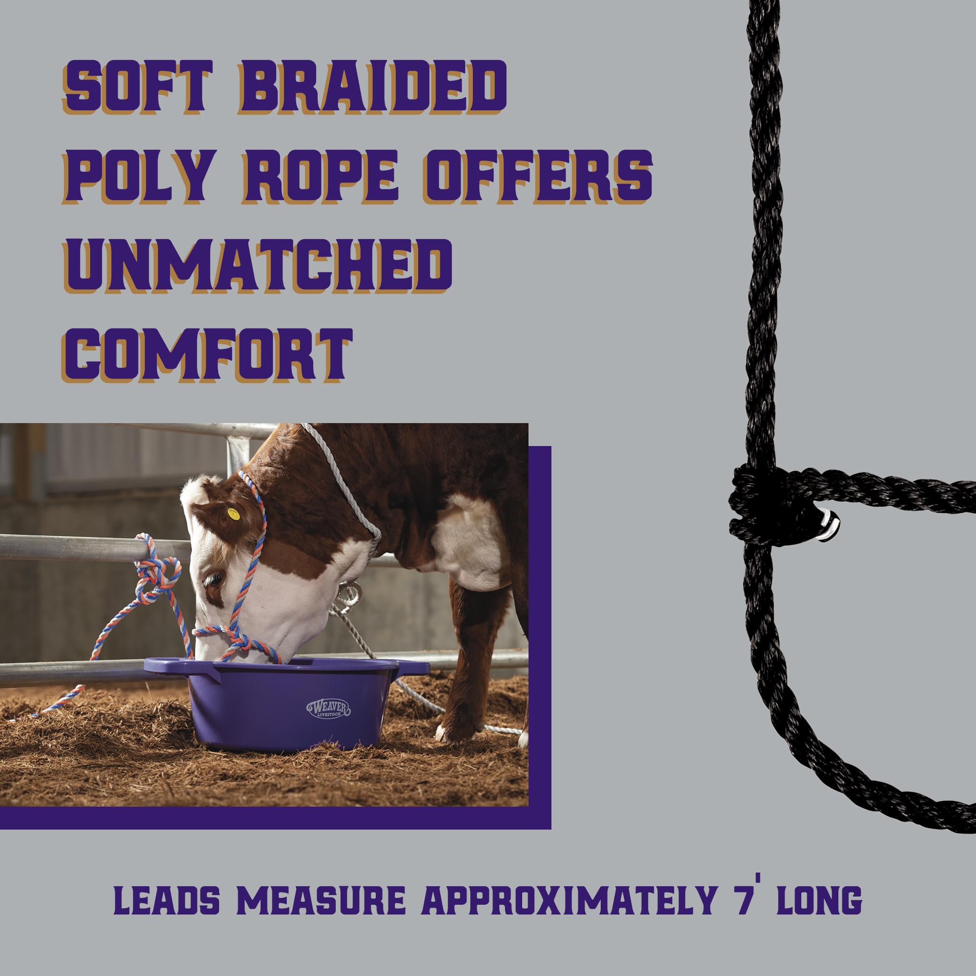 Weaver Leather modern style cow halter ideal for showing and handling.