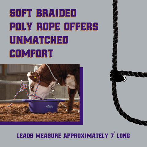 Weaver Leather modern style cow halter ideal for showing and handling.