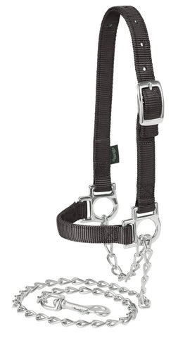 Weaver Leather sheep halter with chain lead in black for secure handling and versatile tethering