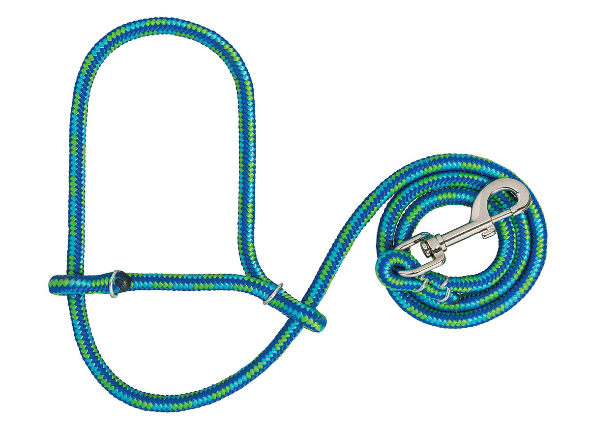 Weaver Leather sheep halter with snap in lime and blue for easy handling