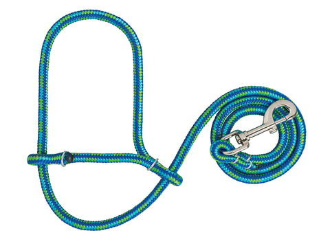 Weaver Leather sheep halter with snap in lime and blue for easy handling