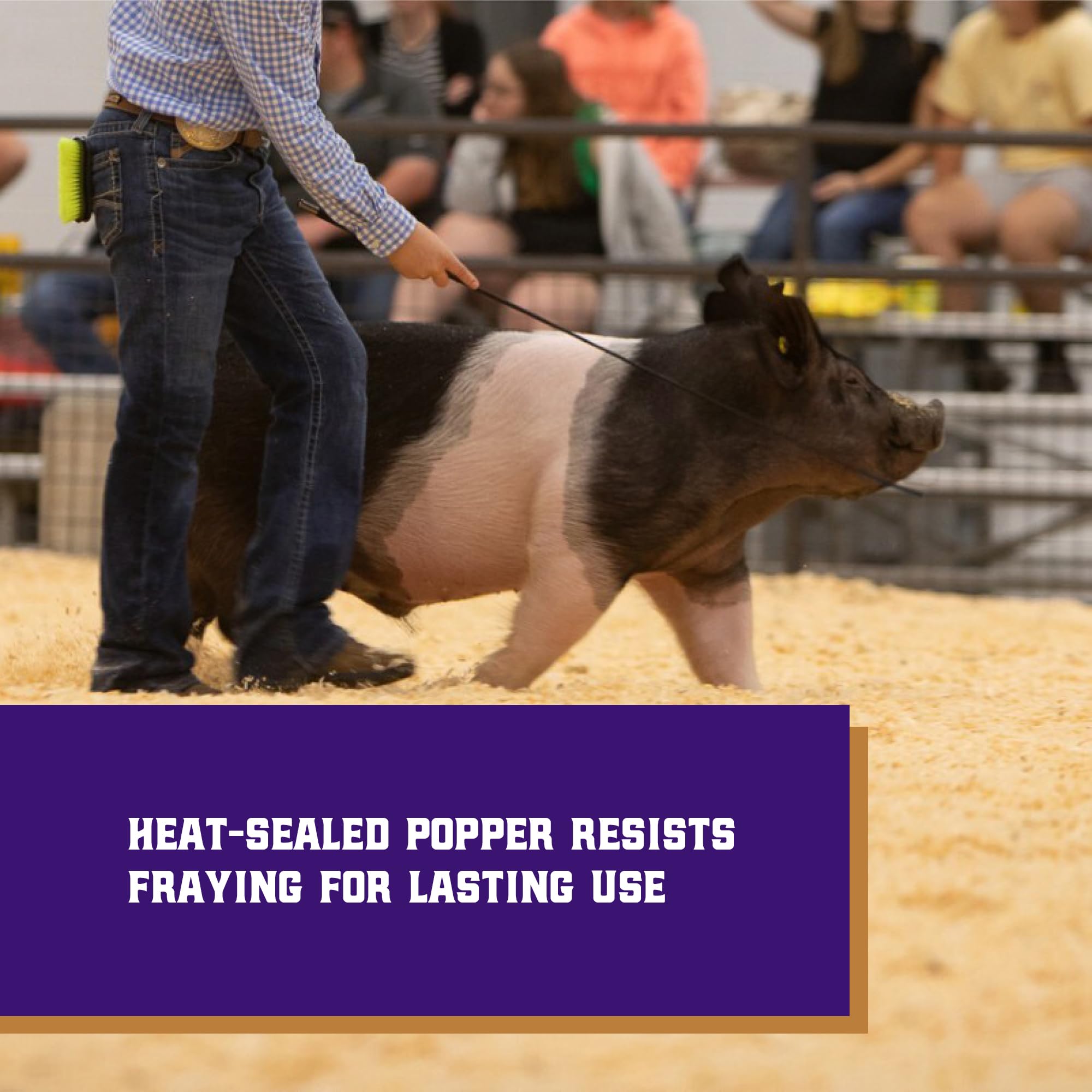 Weaver Livestock 5-inch popper delivers crisp audible signals in the show ring.