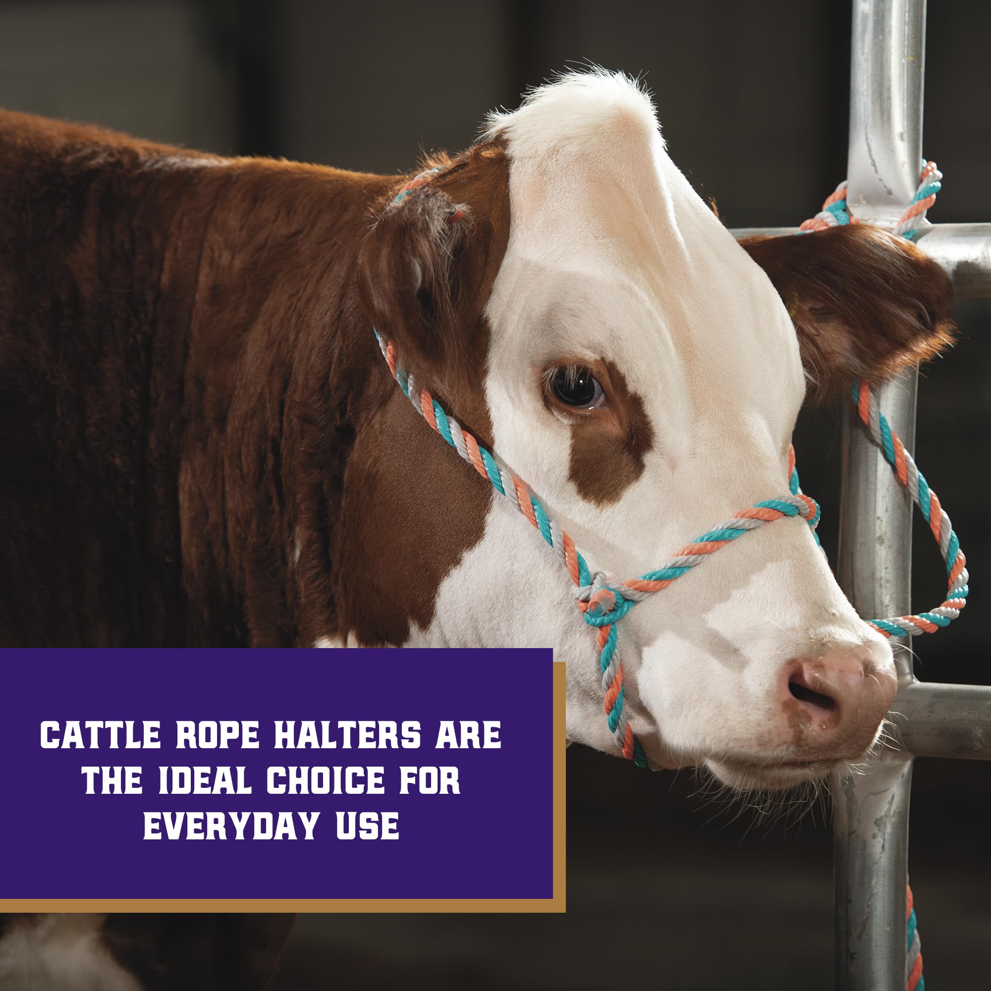 Weaver Livestock adjustable cattle rope halter provides a snug fit.