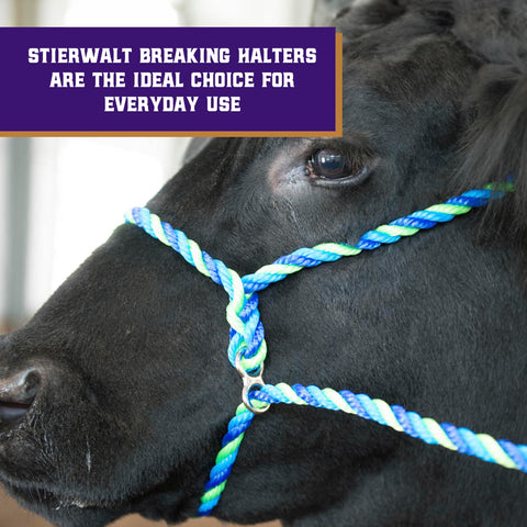 Weaver adjustable cow-calf halter provides a secure, snug fit for training and leading.