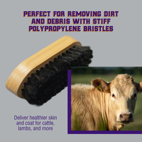 Weaver Livestock Barn Brush performing deep cleaning on livestock coat