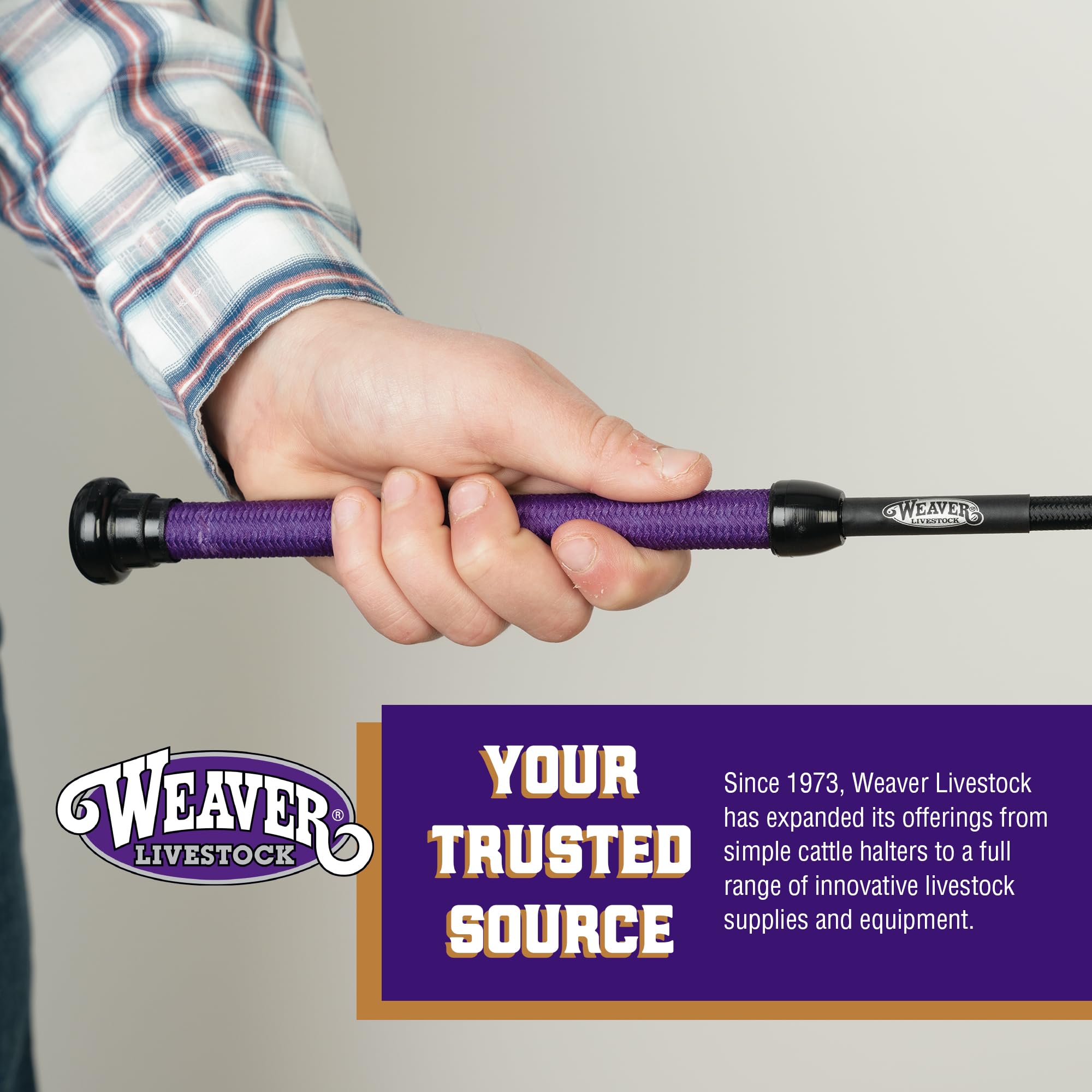 Weaver Livestock pig show whip in ring-ready design for smooth handling.