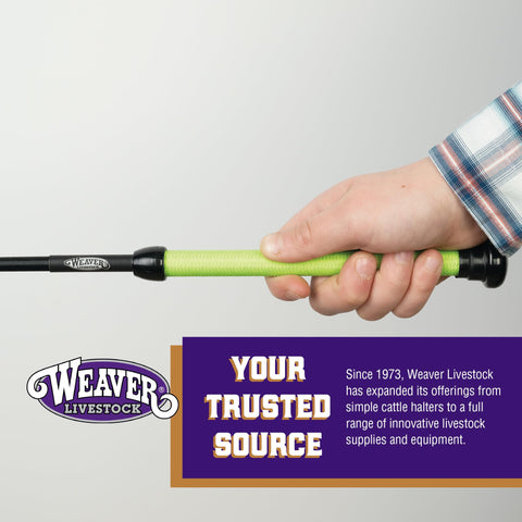 Weaver Livestock lime finish boosts visibility and professional appearance