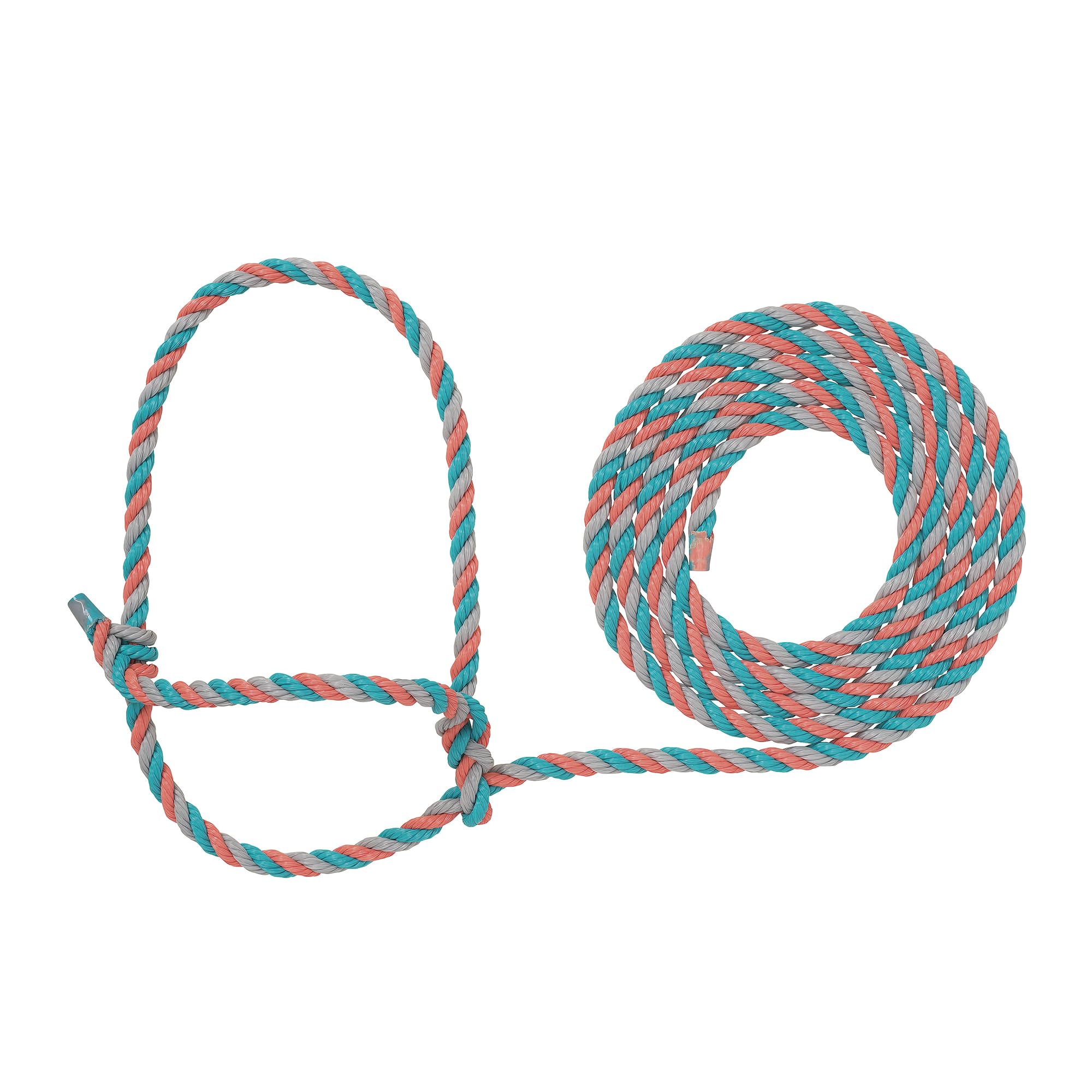 Weaver Livestock braided-poly rope halter for cattle offers durable daily handling.