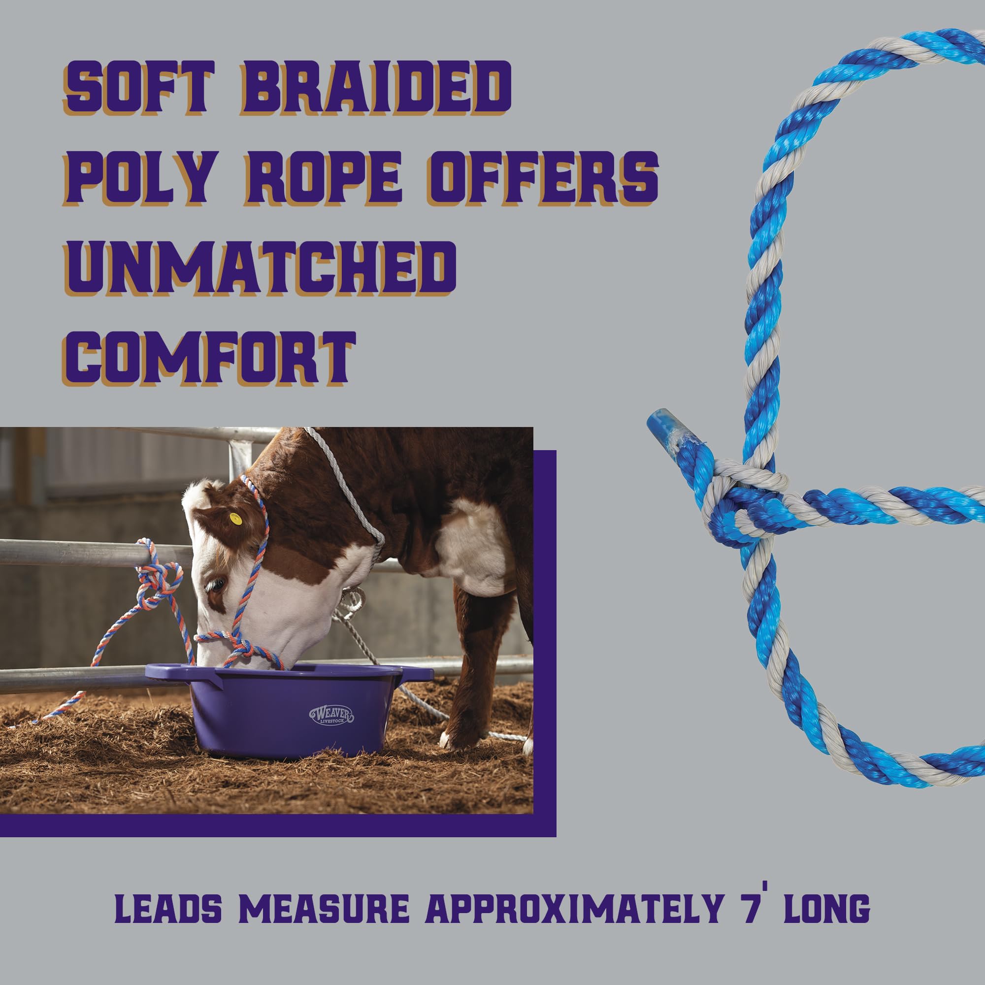 Weaver Livestock 7-foot lead included for easy guiding of cows and calves.