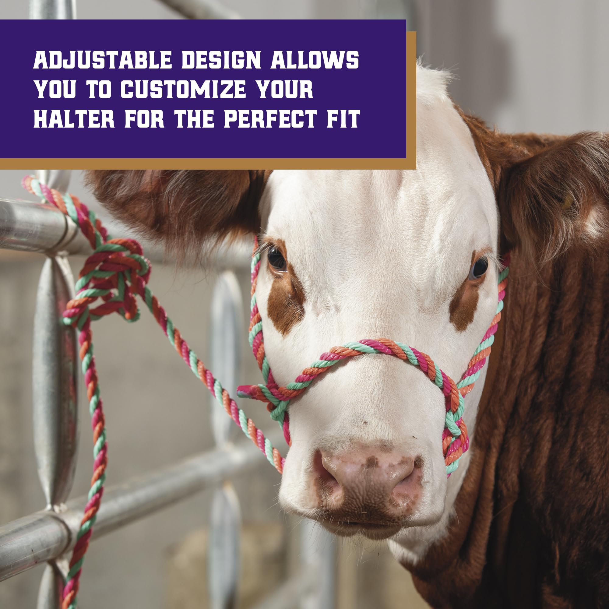 Weaver Livestock halter built from durable braided rope for daily use