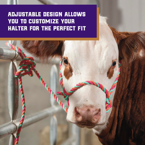 Weaver Livestock halter built from durable braided rope for daily use
