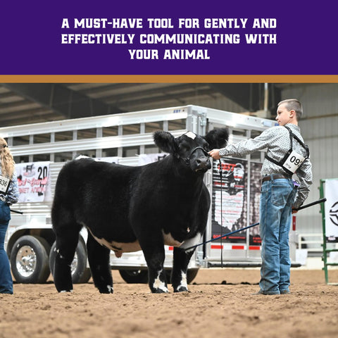 Weaver Livestock color and size options offer customization to match preferences.