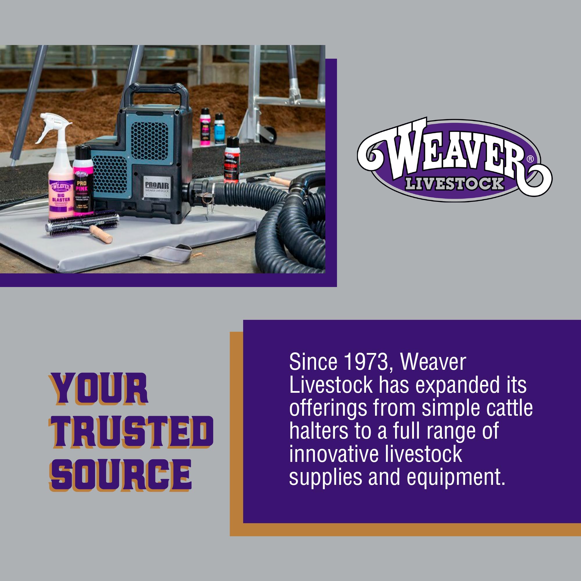 Weaver Livestock durable show stick for training and competition use.