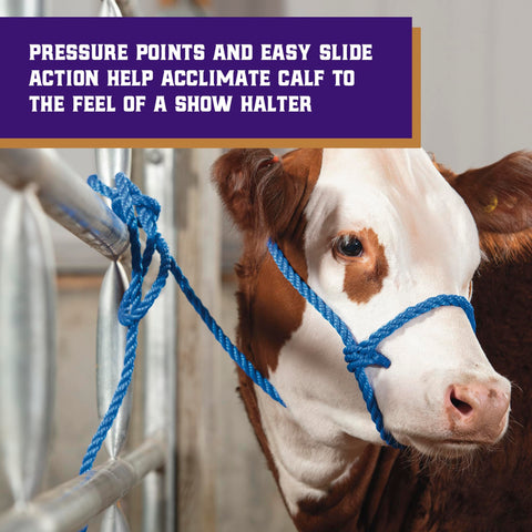 Eight and a half foot lead from Weaver Livestock for ample reach when guiding cattle.