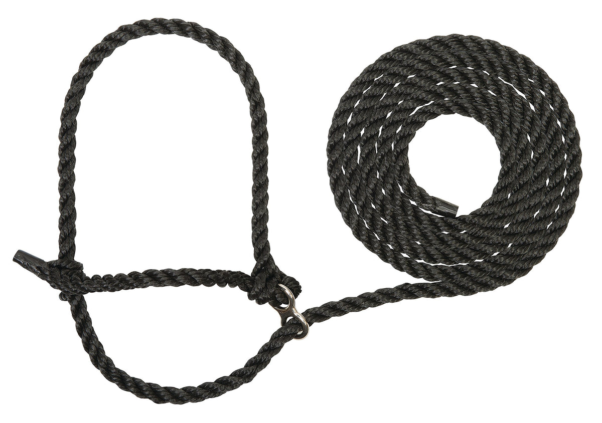 Weaver Livestock extra long breaking cattle halter with 14.5 ft lead for gentle, controlled handling.