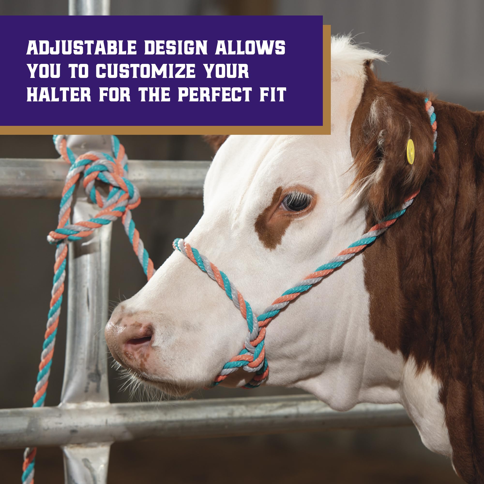 Weaver Livestock multicolor cattle halter adds style with comfort.