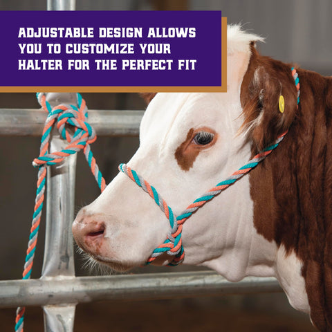 Weaver Livestock multicolor cattle halter adds style with comfort.