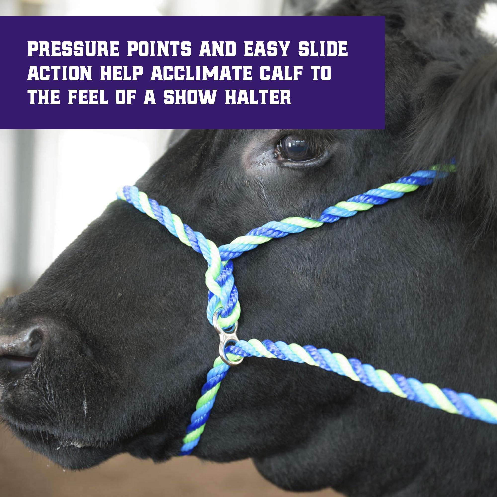 Weaver Livestock 8-1-2 ft lead supports safe guiding and control
