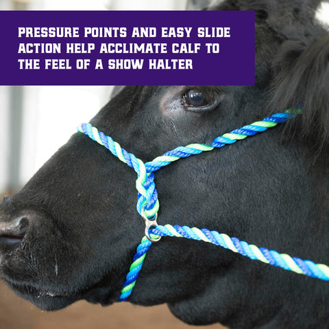 Weaver Livestock 8-1-2 ft lead supports safe guiding and control