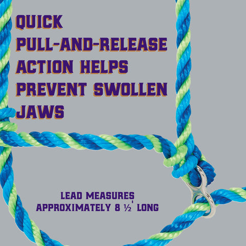 Nickel-plated hardware on Weaver halter reduces rope rubbing for smoother action.
